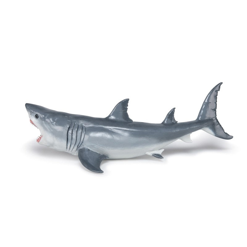 Megalodon