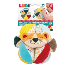 Cargar imagen en el visor de la galería, Pelota blanda de agarre gato