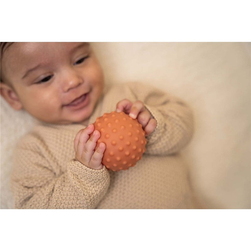 Set 3 pelotas sensoriales granja