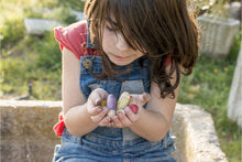 Cargar imagen en el visor de la galería, INSECTOS