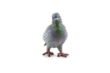 Cargar imagen en el visor de la galería, {{product_title}} - Juguete educativo | educajoc.com