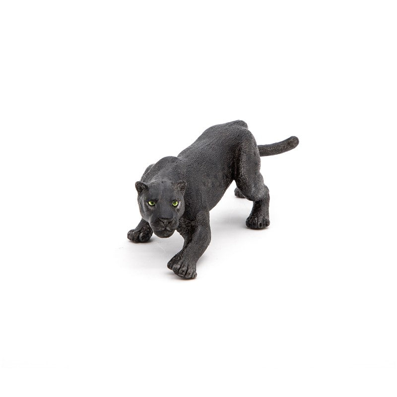 Leopardo negro