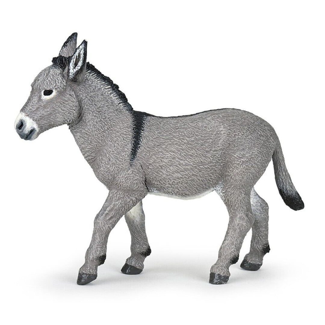 Asno de Provenza