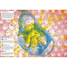 Cargar imagen en el visor de la galería, Libros con lentes. El cuerpo humano