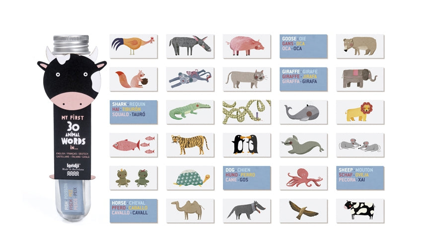 M. ANIMAL DICTIONARY