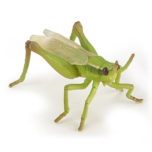 Saltamontes