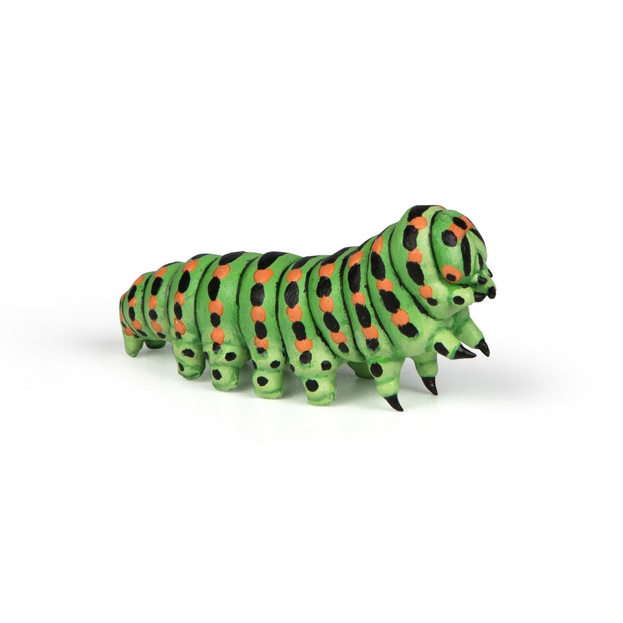 Oruga