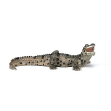 Cargar imagen en el visor de la galería, Bebe Cocodrilo
