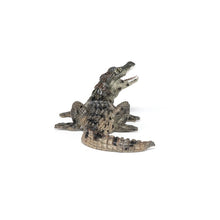 Cargar imagen en el visor de la galería, Bebe Cocodrilo
