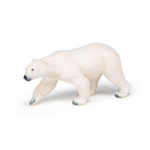 Oso Polar