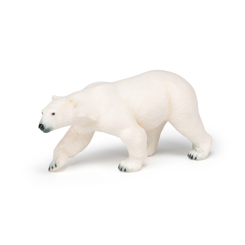 Oso Polar