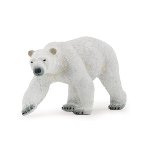 Oso Polar