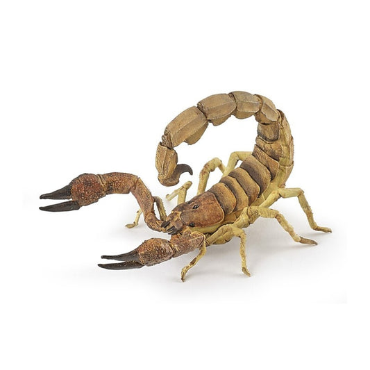 Escorpión