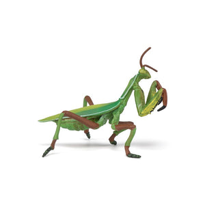 Mantis Religiosa