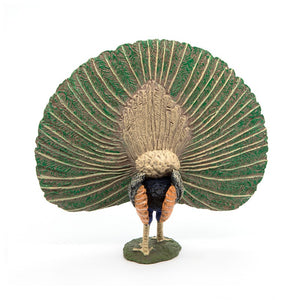 Pavo Real