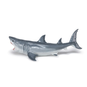 Megalodon