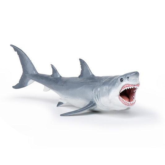 Megalodon