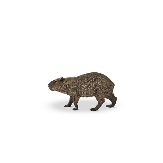 Capibara