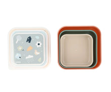 Cargar imagen en el visor de la galería, 3 Cajas Almuerzo Geometric Nature
