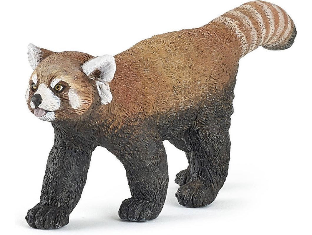 Panda Rojo