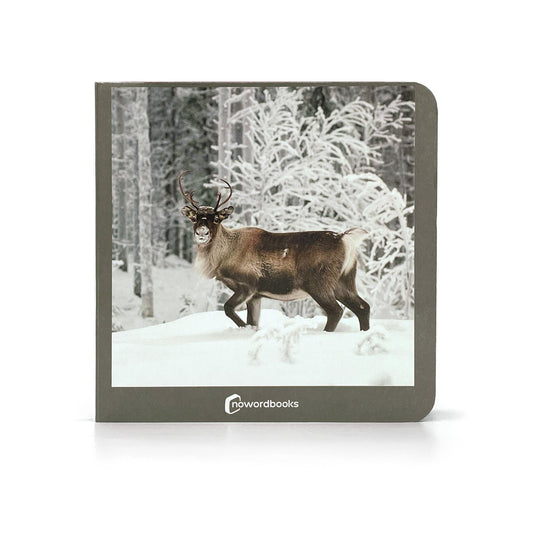 ANIMALES POLARES - Nowordbooks