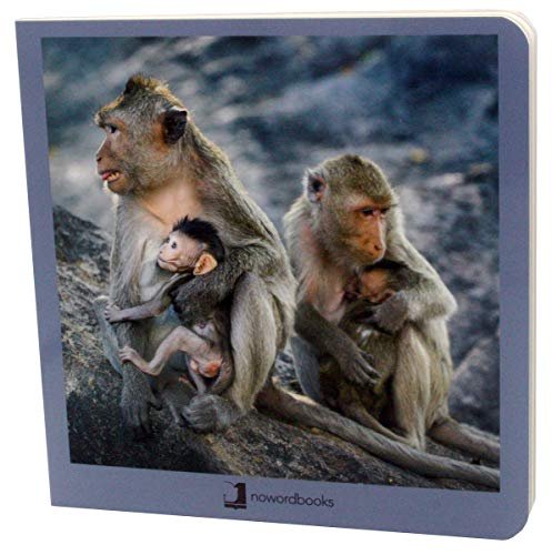 ANIMALES EN FAMILIA - Nowordbooks