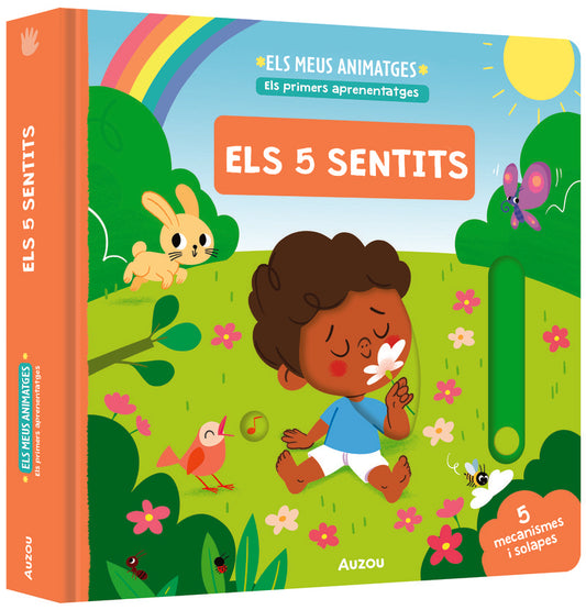 ELS MEUS ANIMATGES ELS 5 SENTITS