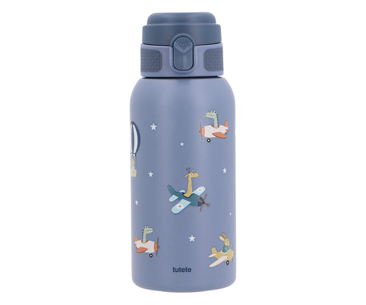 Botella de Acero Térmica Planes 500ml