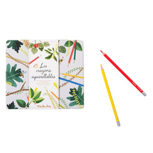 Cargar imagen en el visor de la galería, Caja 24 lápices acuarelables El jardín
