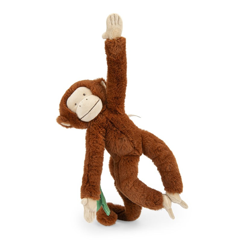 Mono Mochica de actividades Forêt Mawa