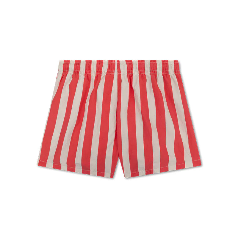 Bañador Lobster Stripe