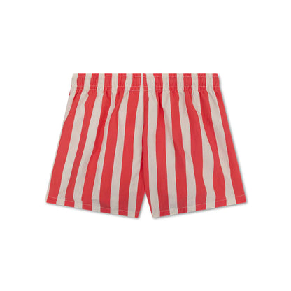 Bañador Lobster Stripe