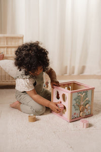 Cubo de actividades Fairy Garden