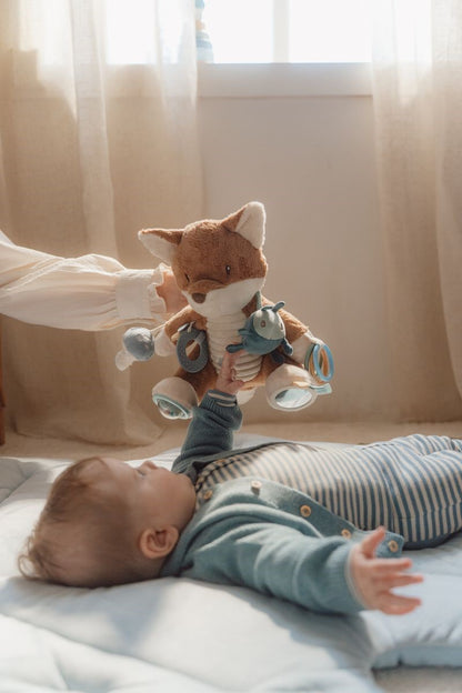 Zorro actividades Forest Friends
