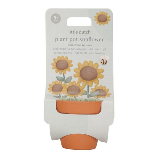 MACETA PLANTA UN GIRASOL