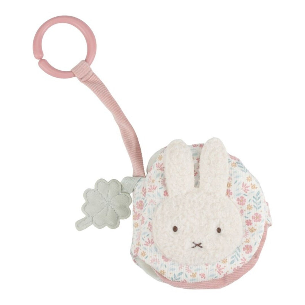 LIBRITO BLANDO ACTIVIDADES ANI MIFFY