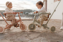 Cargar imagen en el visor de la galería, Triciclo con barra rosa flores
