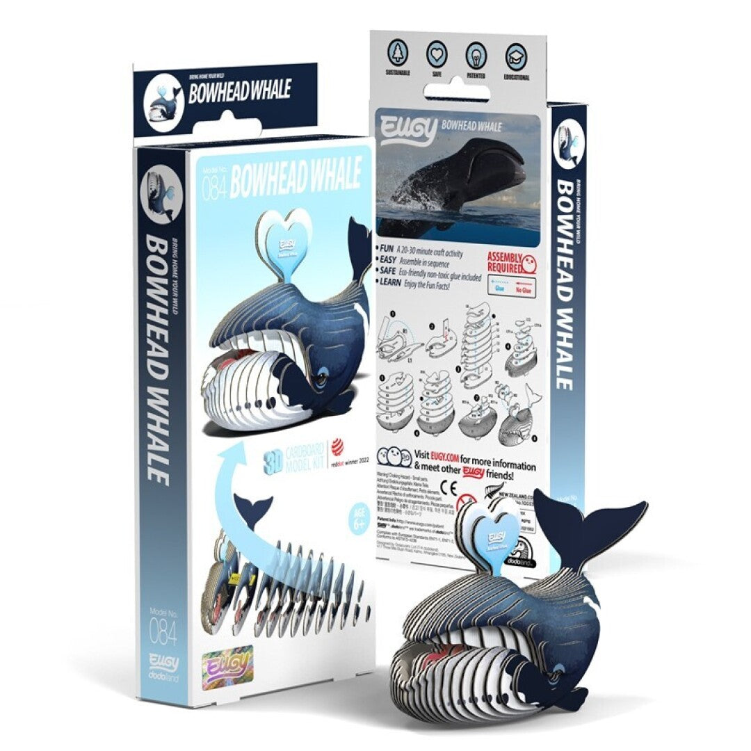 Eugy Ballena de Groenlandia 084