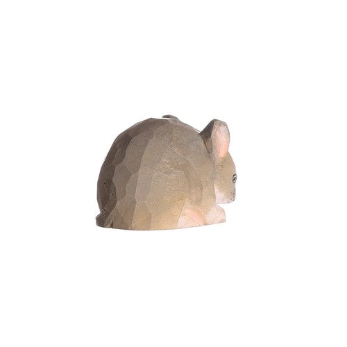 RATÓN