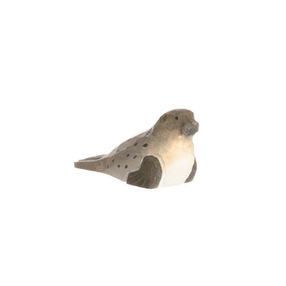 FOCA