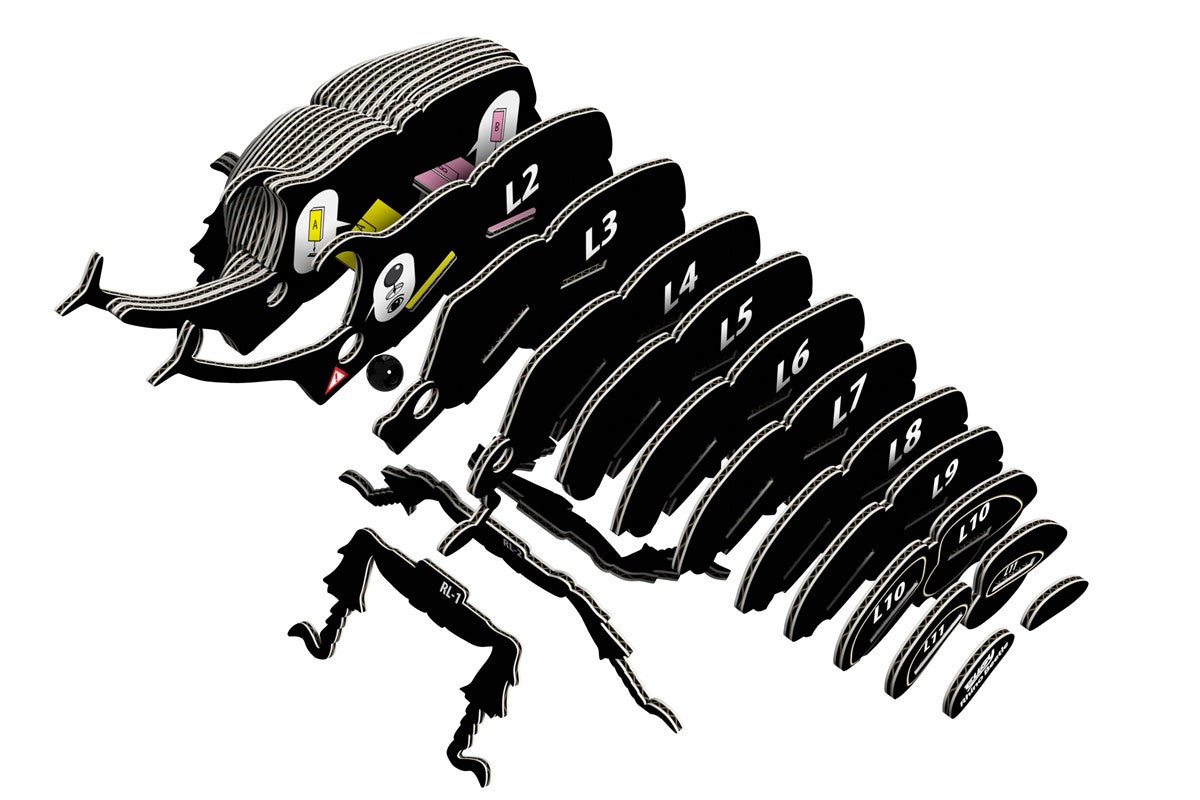 Eugy Rhino Beetle 113