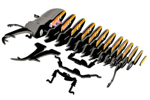 Eugy Stag Beetle 114