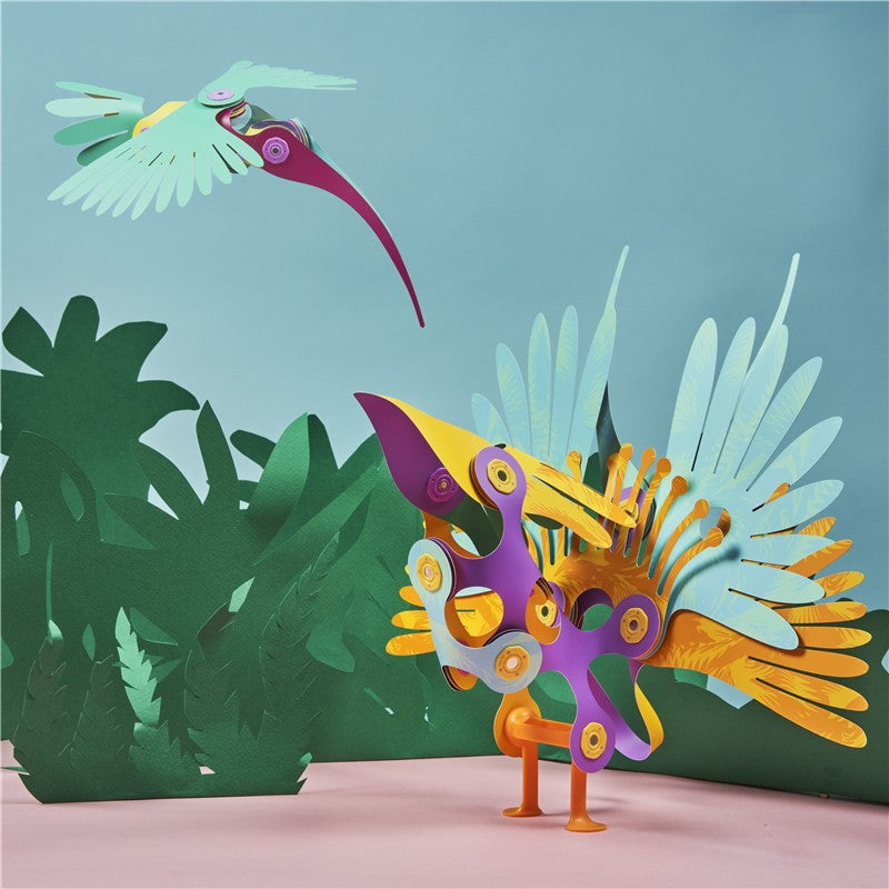 Tropical Birds