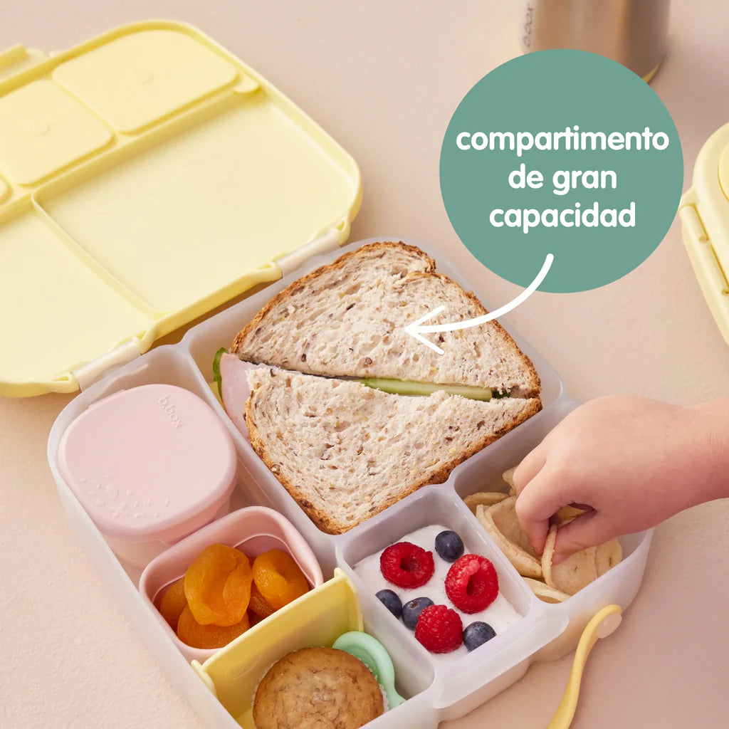 Big Lunch Box Lila