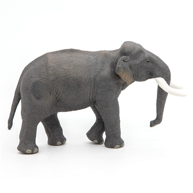 Elefante asiatico