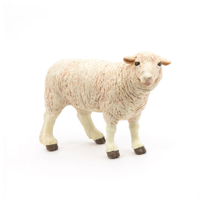 Carnero Merinos