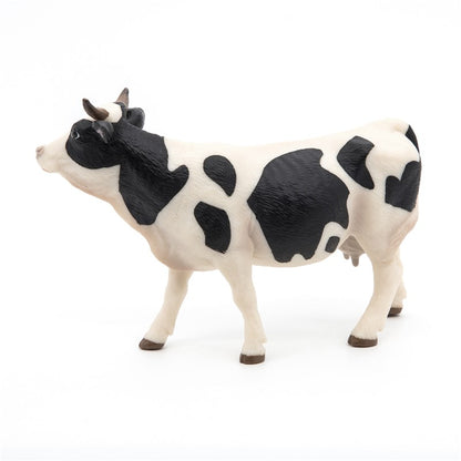 Vaca negra y blanca