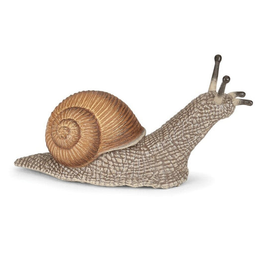 Caracol