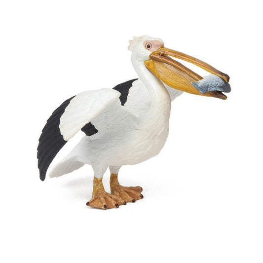 Pelicano