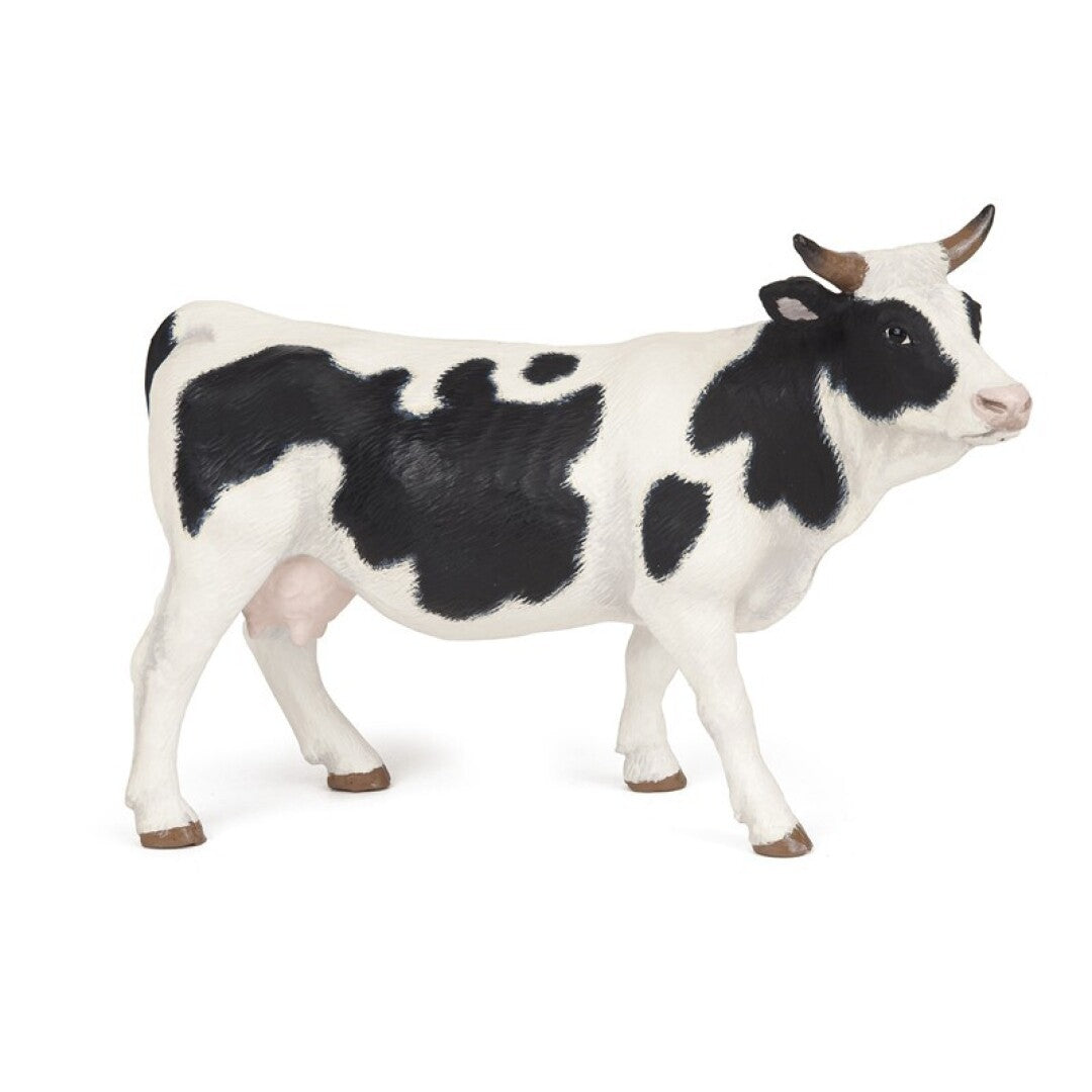 Vaca negra y blanca